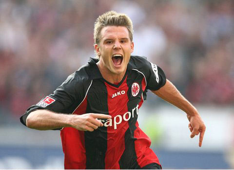 集生态旅游 集生态旅游