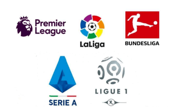 迷和专家的 迷和专家的